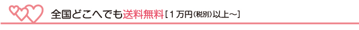 全国送料無料