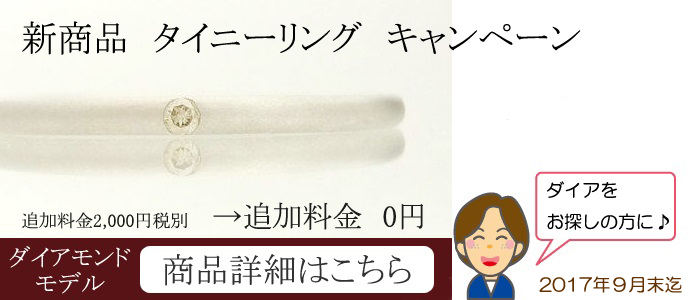 プラチナ 極細 タイニーリング ダイアバージョン ペア5万円台